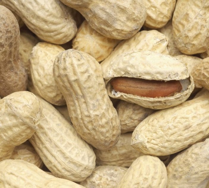 Can You React to the Smell of Peanut?