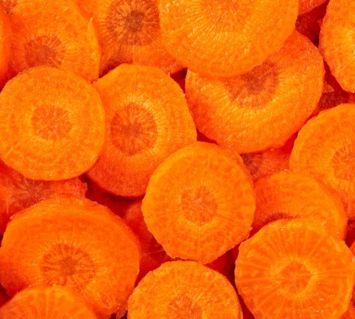A slices of carrot, cross section,